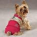 XS Skull & Crossbones Bikini Dog Bathing Suit