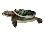 Happy Feet - Turtle - Animal Slippers