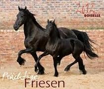 Prächtige Friesen 2012: Friesen Pferde
