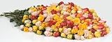 Send Fresh Cut Flowers - 200 Long Stem Assorted Roses