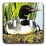 Birds - Loon Duck - Light Switch Covers - double toggle switch