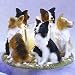 Border Collie Dogs Stone Circle Candle Holder