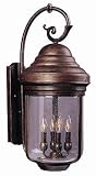 Revere Collection Four Light Hanging Wall Mount
