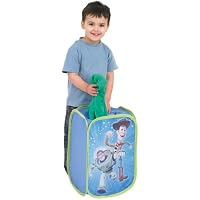 Toy Story Pop Tidy
