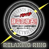 �Ód�C���� �����b�N�X�����O RX-300