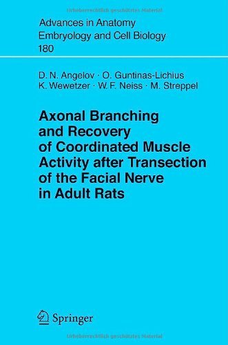 Axonal Branching and Recovery of Coordinated Muscle Activity after Transsection of the Facial Nerve in Adult Rats: 180 (Advances in Anatomy, Embryology and Cell Biology)
