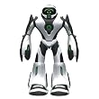 roboter