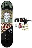 BIRDHOUSE Complete Skateboard STEVE NESSER BLACK 6 NEW