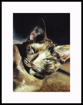 Emily Framed Artist's Proof by Drew Strouble