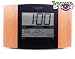 New! Cordless Atomic Clock Nanny Cam with Black N White Camera and DVR Built In