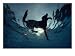 An Underwater View of a Black Labrador Retriever Swimming, Black Lab Photographic Poster Print by Bill Curtsinger, 40x30