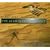 Silence & I: The Very Best of the Alan Parsons Project