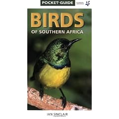 Birds of Southern Africa (Pocket Guide Series)