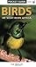 Birds of Southern Africa Pocket Guide (Pocket Guide Series)