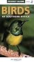 Birds of Southern Africa (Pocket Guide Series)