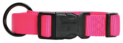 Adjustable Dog Collar, 3/8