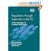 Regulation through Agencies in the EU: A New Paradigm of European Governance