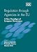 Regulation through Agencies in the EU: A New Paradigm of European Governance by  ISBN 1845422678