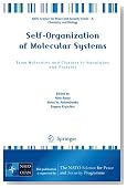 Self-Organization of Molecular Systems: From Molecules and Clusters to Nanotubes and Proteins (NATO Science for Peace and Security Series A: Chemistry and Biology)