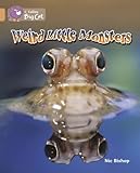 Weird little monsters