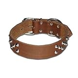1.5 in. Cone Studded Bully Leather Dog Collar model 125.1 (Brown, 19 in.)