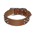 1.5 in. Cone Studded Bully Leather Dog Collar model 125.1 (Brown, 23 in.) 1.5 in. Cone Studded Bully Leather Dog Collar model 125.1 (Brown, 23 in.)