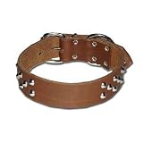 1.5 in. Cone Studded Bully Leather Dog Collar model 125.1 (Brown, 23 in.)