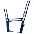 Draft Horse Halter With Overlay 1 1/2"