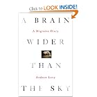A Brain Wider Than the Sky: A Migraine Diary by Andrew Levy