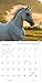 The Spirited Horse 2016 Calendar