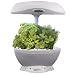 AeroGrow Ultimate Kitchen Gardener (SpaceSaver 6) with Gourmet Herb Seed Kit (White)