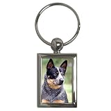 Australian Cattle Dog Key Chain