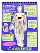 GEOSAFARI HUMAN BODY UNDERCOVER
