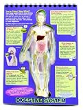 GeoSafari Human Body Undercover