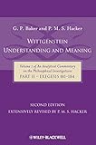 Wittgenstein : understanding and meaning