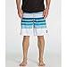 Billabong Men's All Day Stripe Boardshort