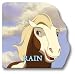 Rain: A Giant Shaped Board Book (Spirit: Stallion of the Cimarron)