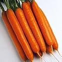 Sweetness III Hybrid Carrot - Seed Packet