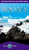Review Delta Visual Entertainment  / Waves - The Movie