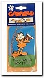  : Car-Freshner - Genuine Garfield Air Freshner, PACK OF 6 (13011-6P)