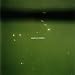 Flimmern [Vinyl LP]