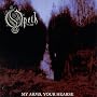 My Arms, Your Hearse