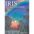 Iris Flower Of Iris Flower Of