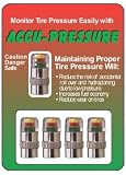 Accu-Pressure Safety Tire Caps, Set of 4 (32 psi)