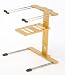 Stanton Uberstand Gold laptop stand