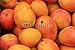Wallmonkeys Peel and Stick Wall Decals - Mangos - - Erev Shabbos Shuk Cornucopia (yehuda Boltshauser) - Removable Graphic