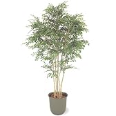 【人工植物】トネリコ1.8m