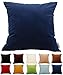 TangDepot Solid Velvet Throw Pillow Cover/Euro Sham/Cushion Sham, Super Luxury Soft Pillow Cases, Many Color & Size Options - (12