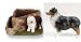Australian Shepherd (Blue) Triangle Planter