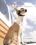 Carry-Ons: Traveling Chihuahuas